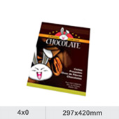 gallery/cartaz 297x420 mm